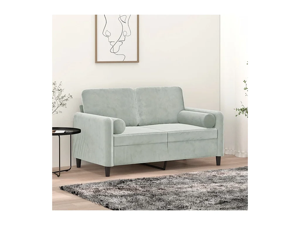 Canapé 2 places avec oreillers gris clair 120 cm velours