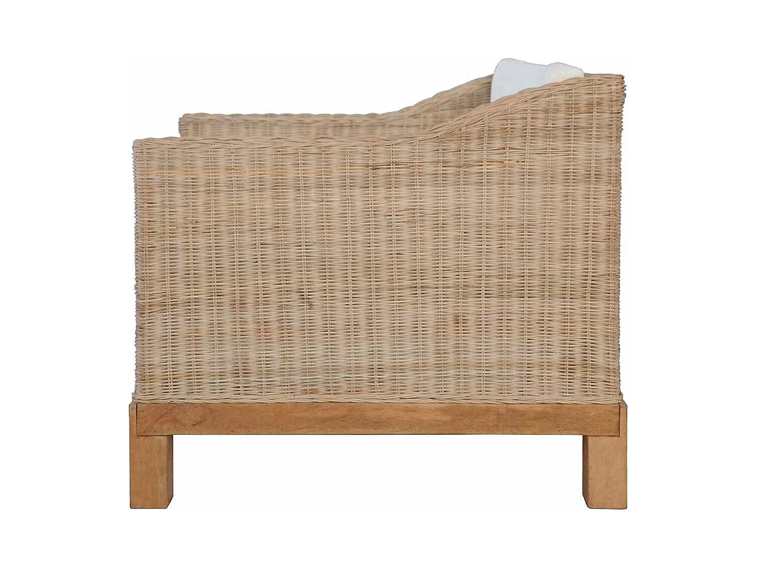 Ensemble de canapés 2 pcs avec coussins Rotin naturel