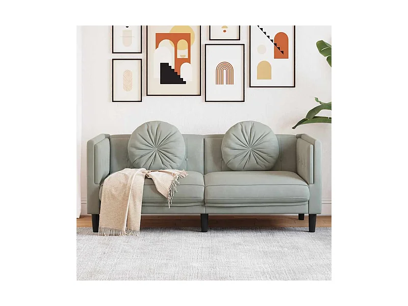 Sofa mit Kissen 2-Sitzer Hellgrau Samt