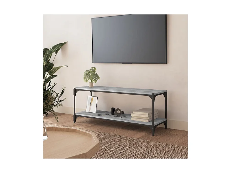 TV-Schrank Grau Sonoma 100x33x41 cm Holzwerkstoff und Stahl