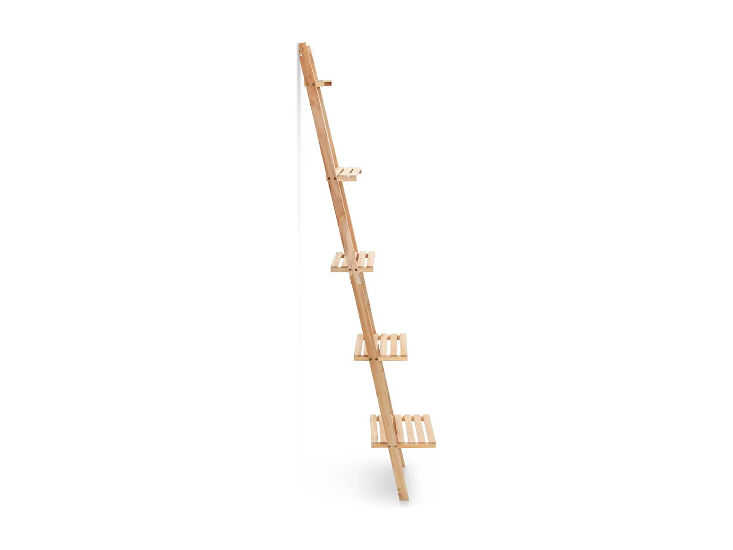 Leiterregal Zedernholz 41,5x30x176 cm
