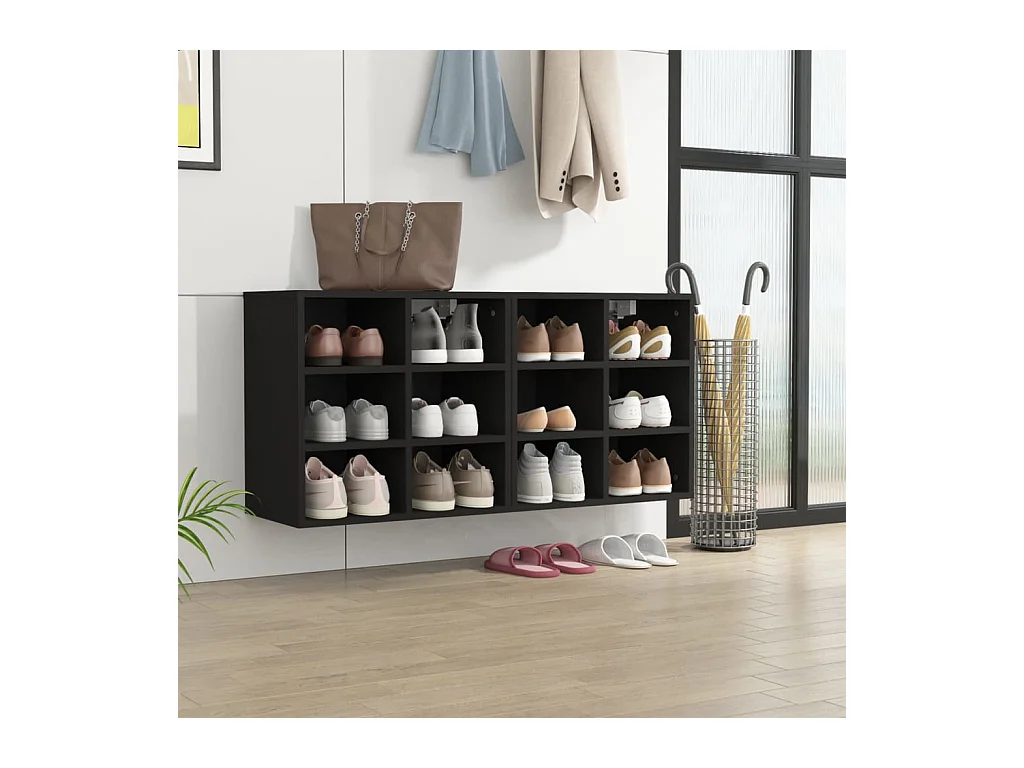 Armories à chaussures 2 pcs noir 52,5x30x50 cm