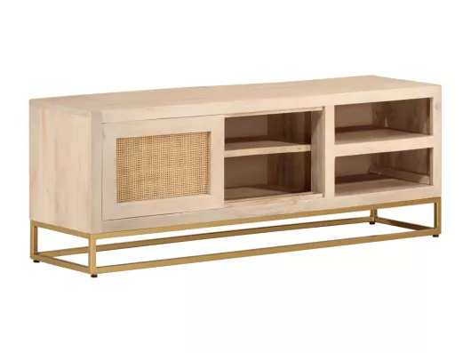 Kauf Unique TV-Schrank 110x30x40 cm Massivholz Mango und Eisen