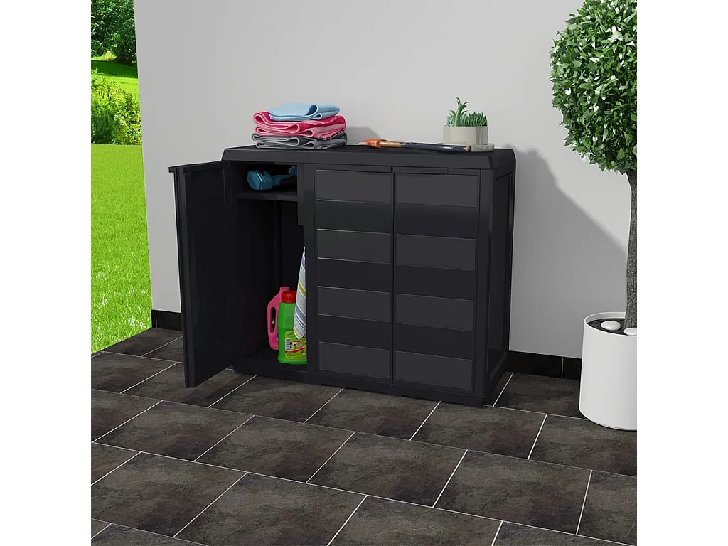Gartenschrank mit 2 Regalen Schwarz