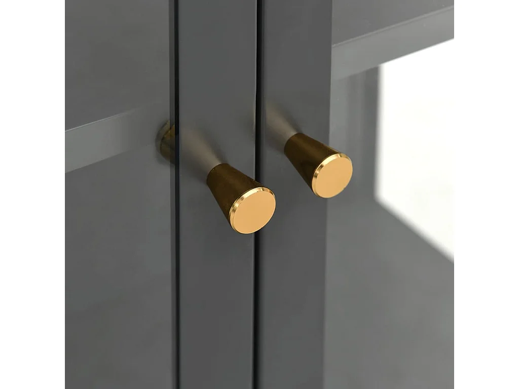 Vitrine d'exposition Anthracite 90x40x180 cm Acier/verre trempé