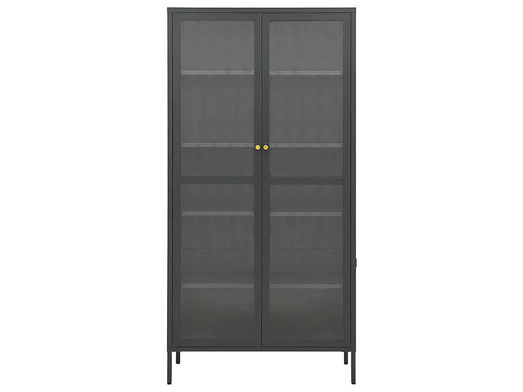 Vitrine d'exposition Anthracite 90x40x180 cm Acier/verre trempé