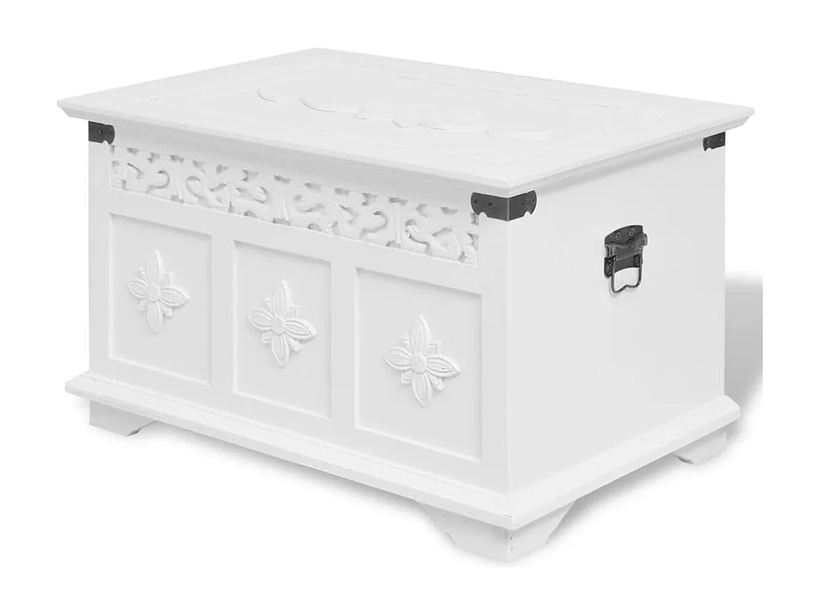 Ensemble de deux coffres de rangement Blanc