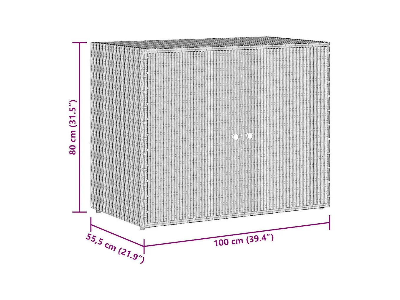 Armario de jardín negro 100x55,5x80 cm Ratán sintético