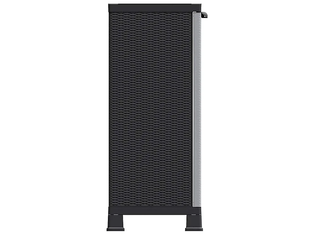 Armoire en plastique 68x39x92 cm Design de rotin