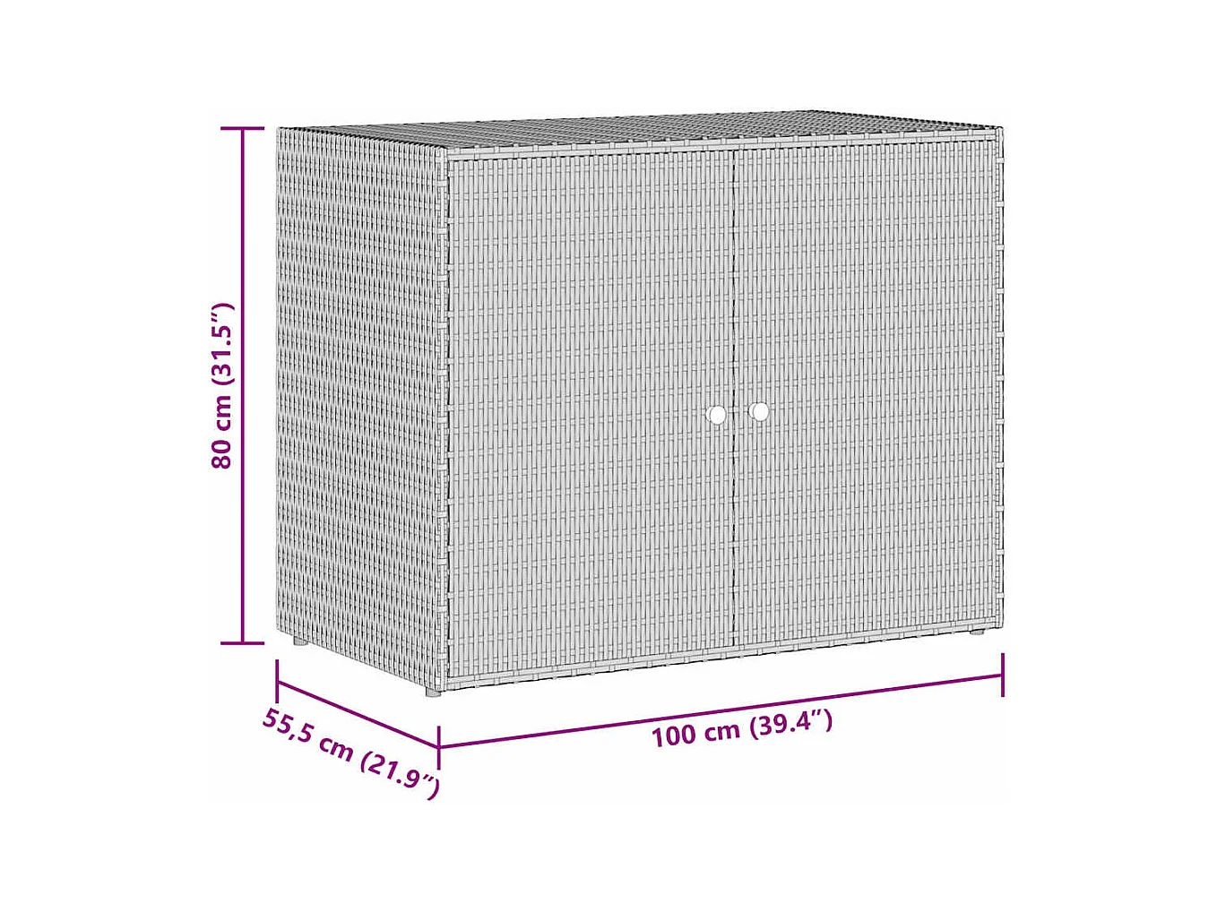 Gartenschrank Grau 100x55,5x80 cm Poly Rattan