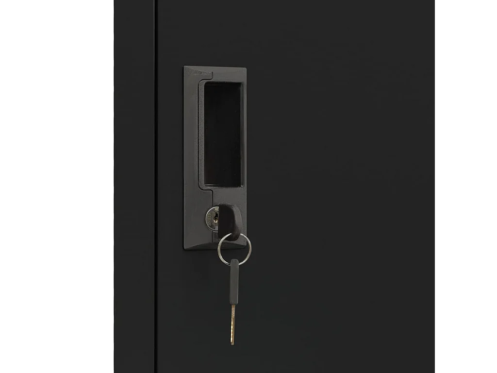 Lockerkast 38x45x180 cm staal zwart