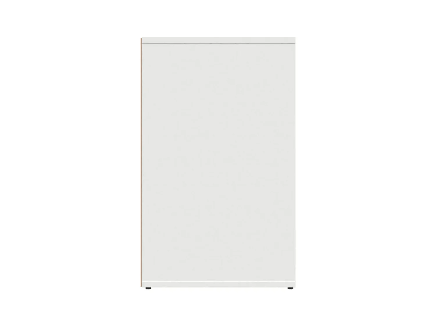 Armoire de dressing Blanc 80x40x65 cm Bois d'ingénierie