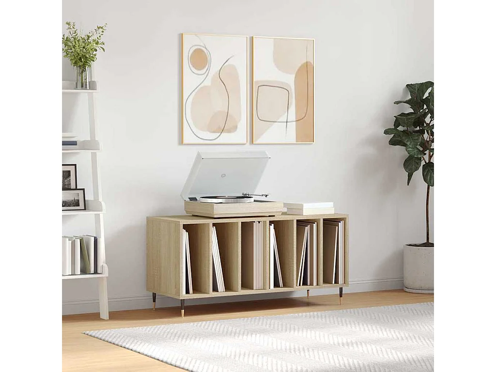 Platenkast 100x38x48 cm bewerkt hout sonoma eikenkleurig