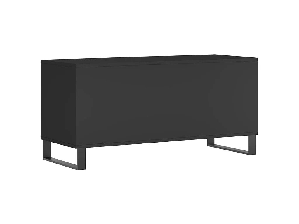 Plattenschrank Schwarz 100x38x48 cm Holzwerkstoff