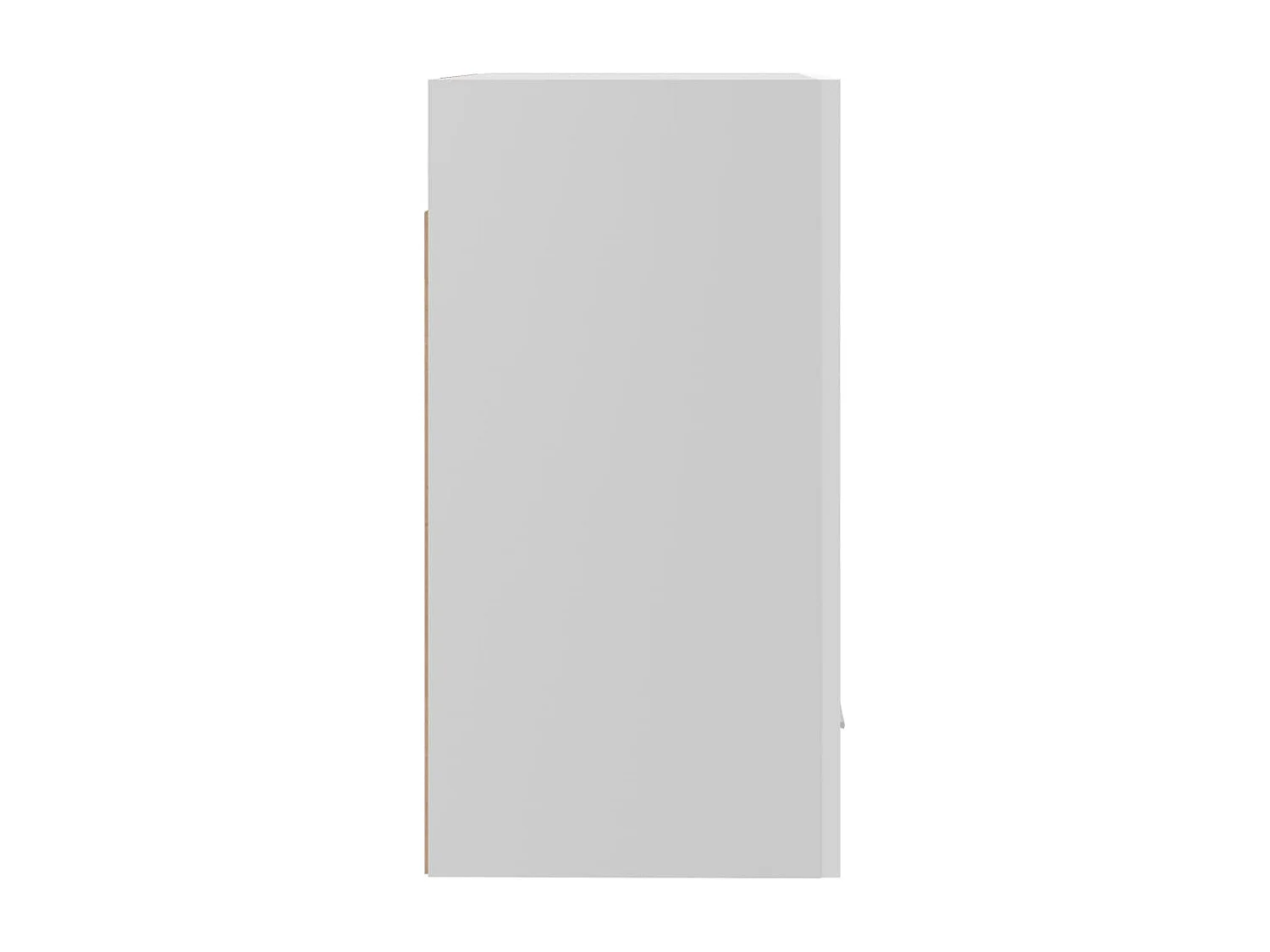 Armoire suspendue "Lyon" Blanc brillant 50 x 31 x 60 cm Bois d'ingénierie