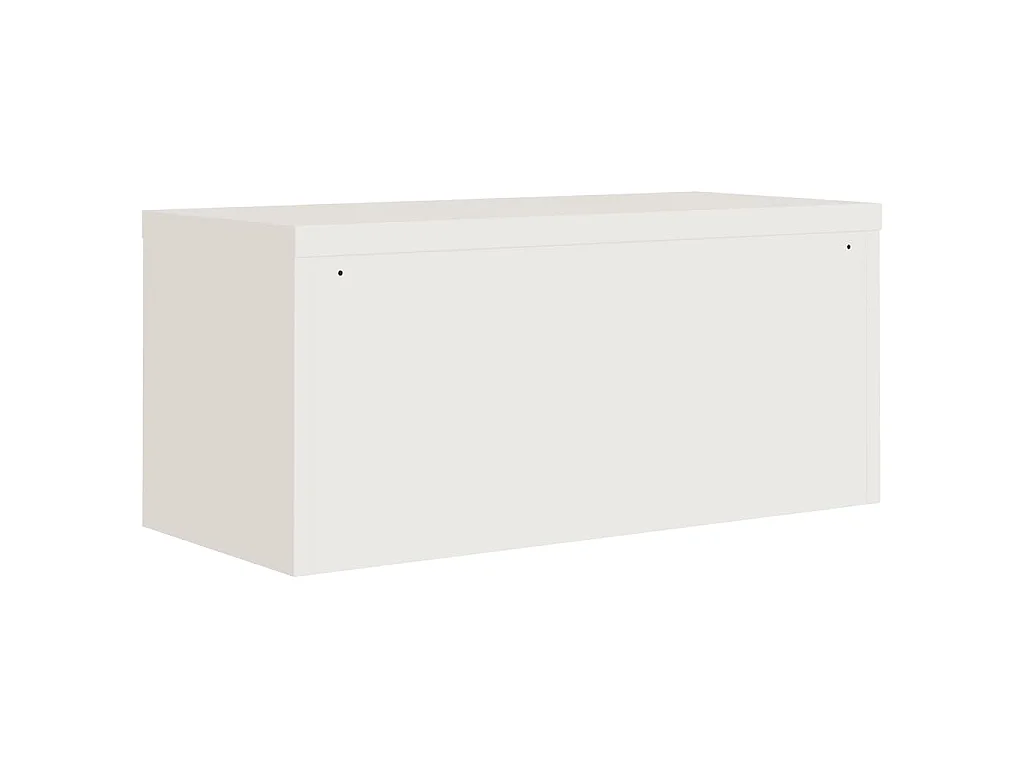 Archiefkast 90x40x40 cm staal wit