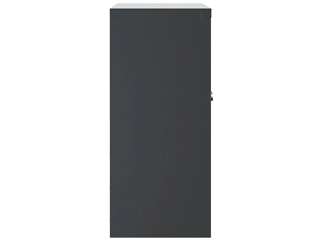 Archiefkast 79x40x90 cm staal antracietkleurig