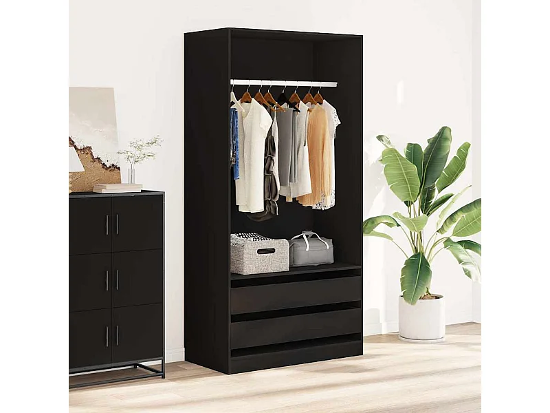 Garde-robe Noir 100x50x200 cm Bois d'ingénierie