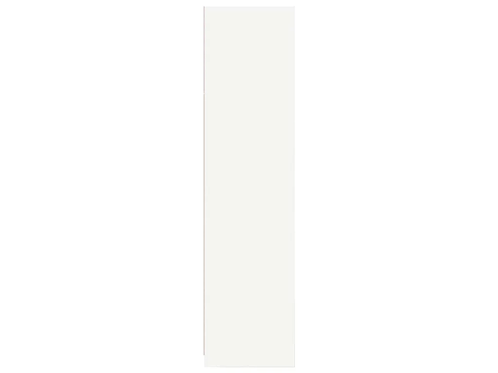 Kledingkast 100x50x200 cm bewerkt hout wit