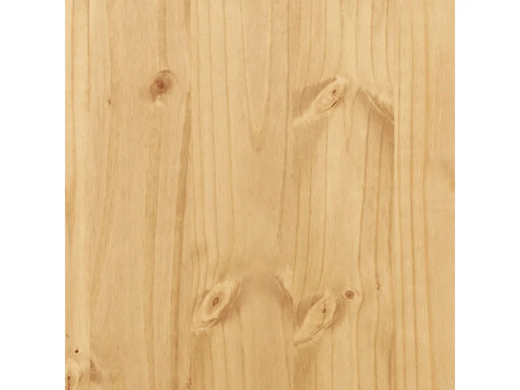 Garde-robe Corona 76x50x170 cm bois de pin massif