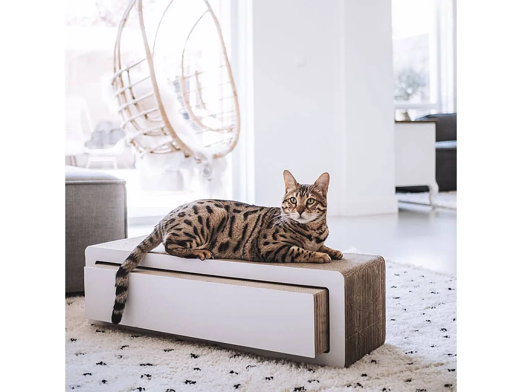 Griffoir pour chats 2 en 1 STRETCH
