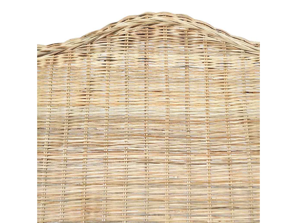 Sessel mit Kissen Natur-Rattan und Leinen