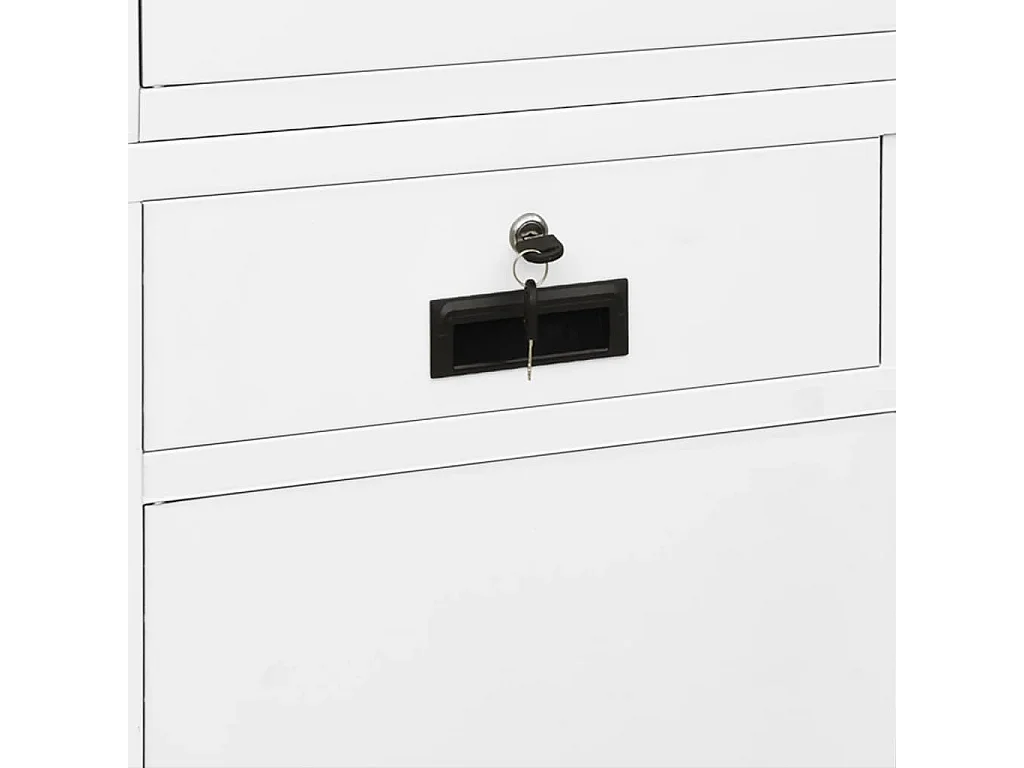 Armoire de bureau Blanc 90x40x180 cm Acier et verre trempé