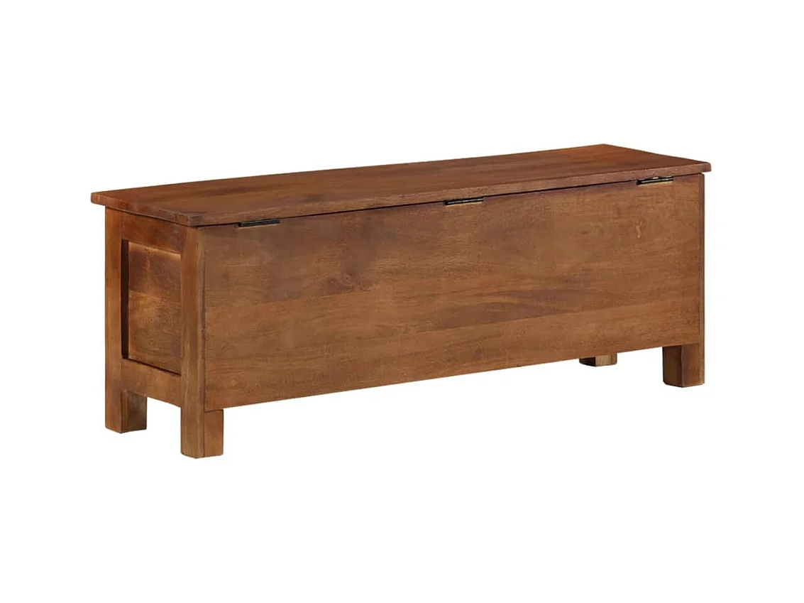 Scatola Portaoggetti 110x30x40 cm in Legno Massello di Mango