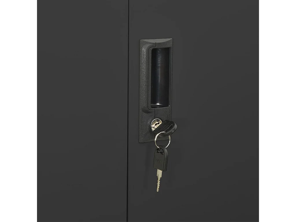 Armoire de bureau Anthracite 90x40x180 cm Acier