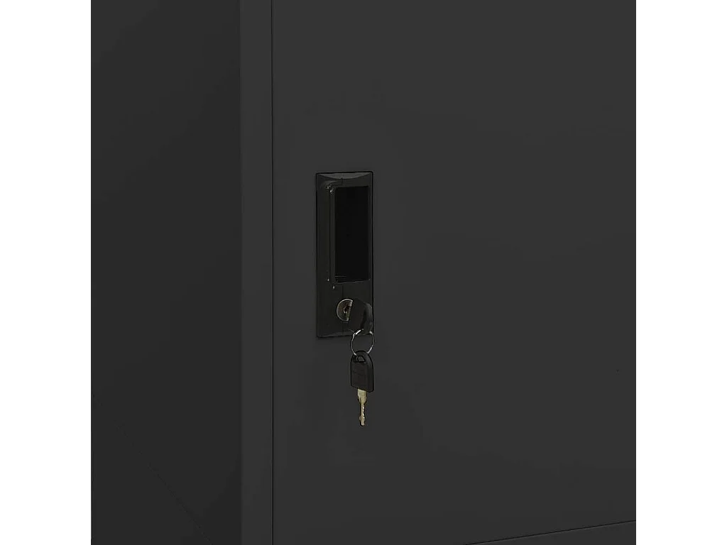 Garde-robe Anthracite 80x50x180 cm Acier