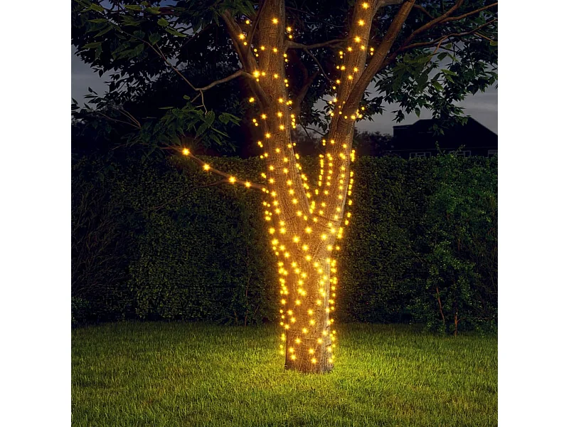 Lichtsnoeren 2 st met 2x200 LED's solar binnen/buiten warmwit BE479006