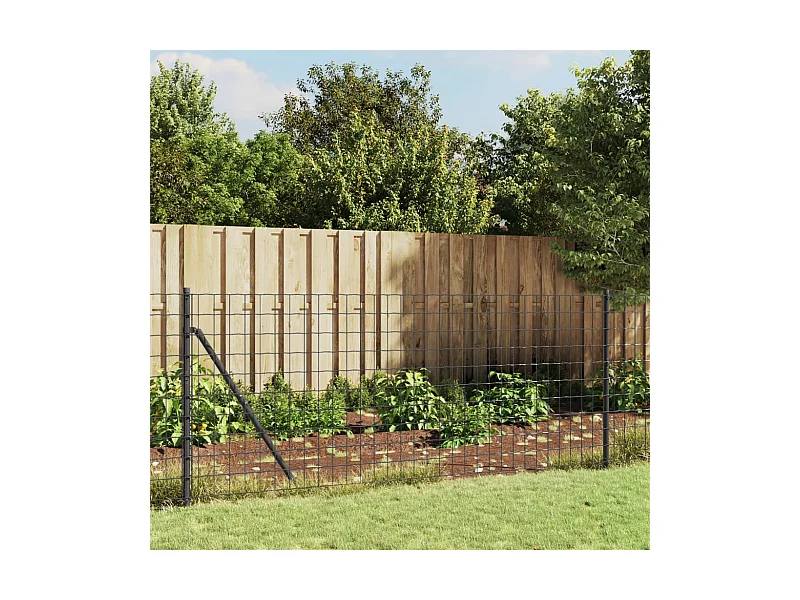 Draadgaashek 0,8x25 m gegalvaniseerd staal antracietkleur BE682441