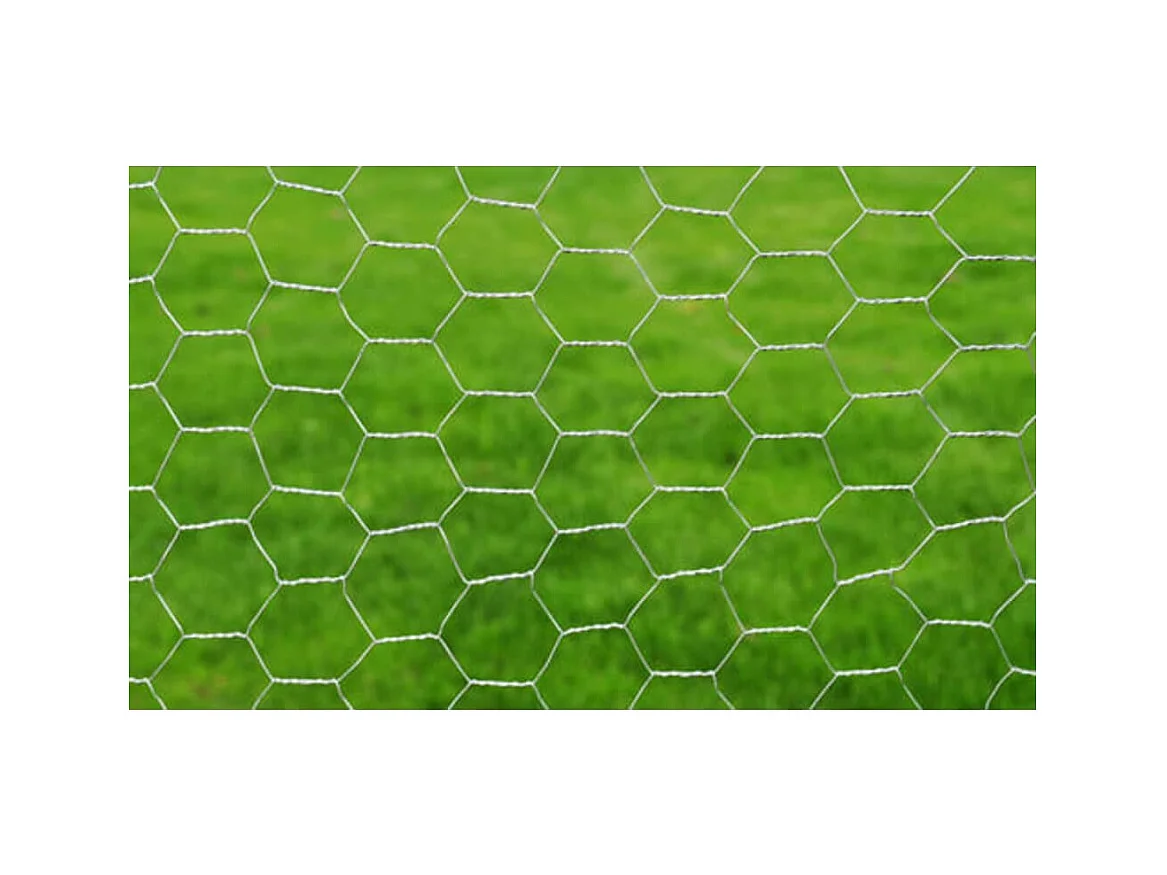 Clôture en treillis Acier galvanisé Hexagonal 1x25 m Argenté FR143547