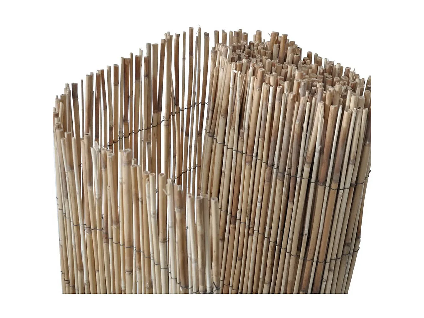 Tuinscherm 600x80 cm riet BE930270