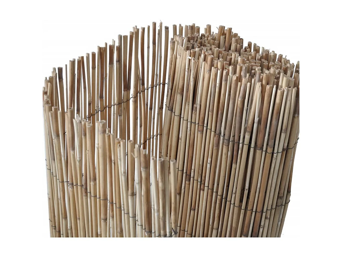 Tuinscherm 300x100 cm riet BE161344