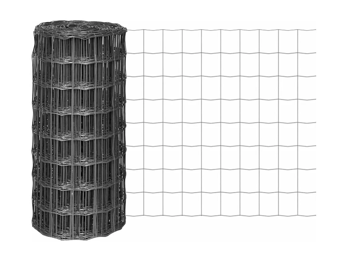 Clôture euro Acier 10 x 0,8 m Gris FR150146
