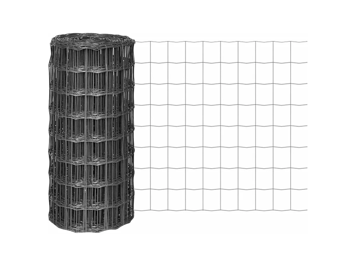 Clôture euro Acier 10 x 0,8 m Gris FR150146