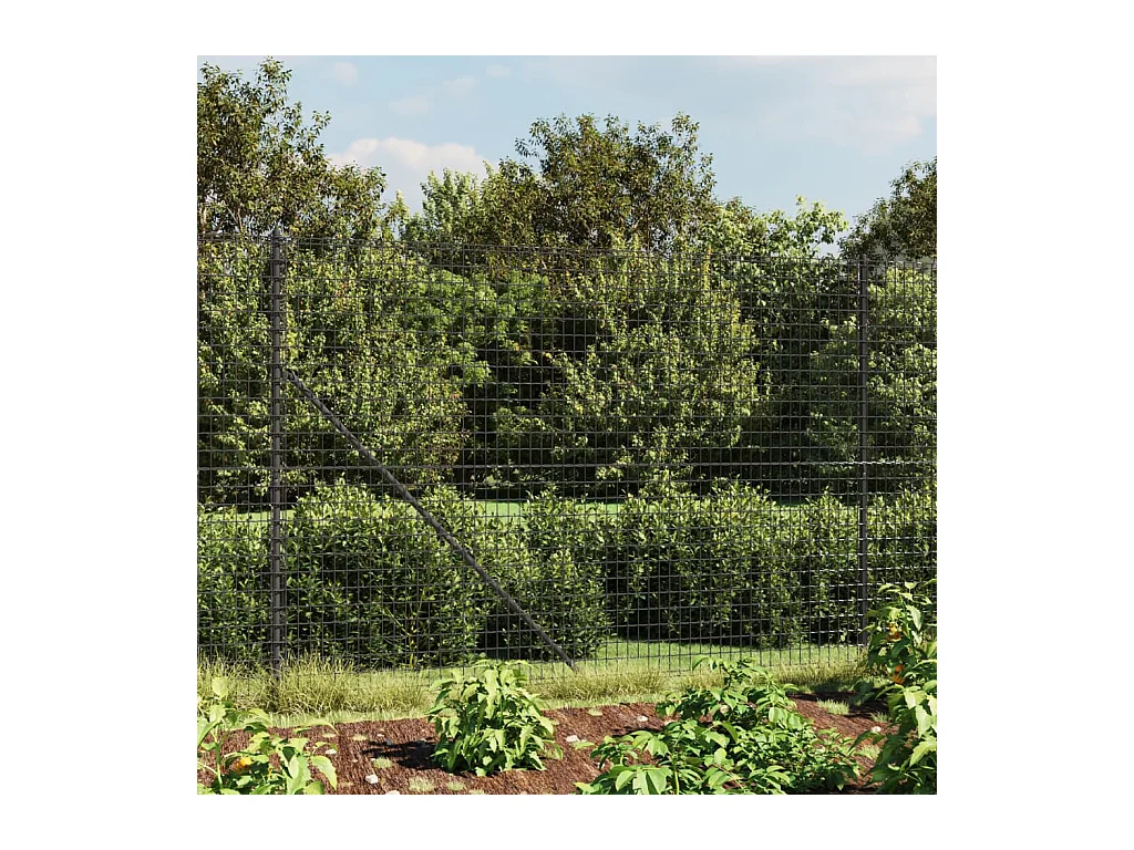 Clôture en treillis métallique anthracite 2,2x10 m FR579923