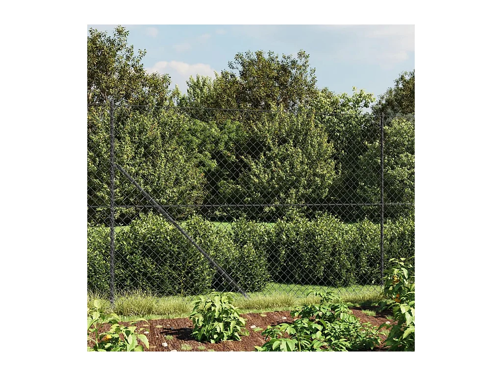 Clôture à mailles losangées avec ancrage anthracite 1,6x25 m FR444530