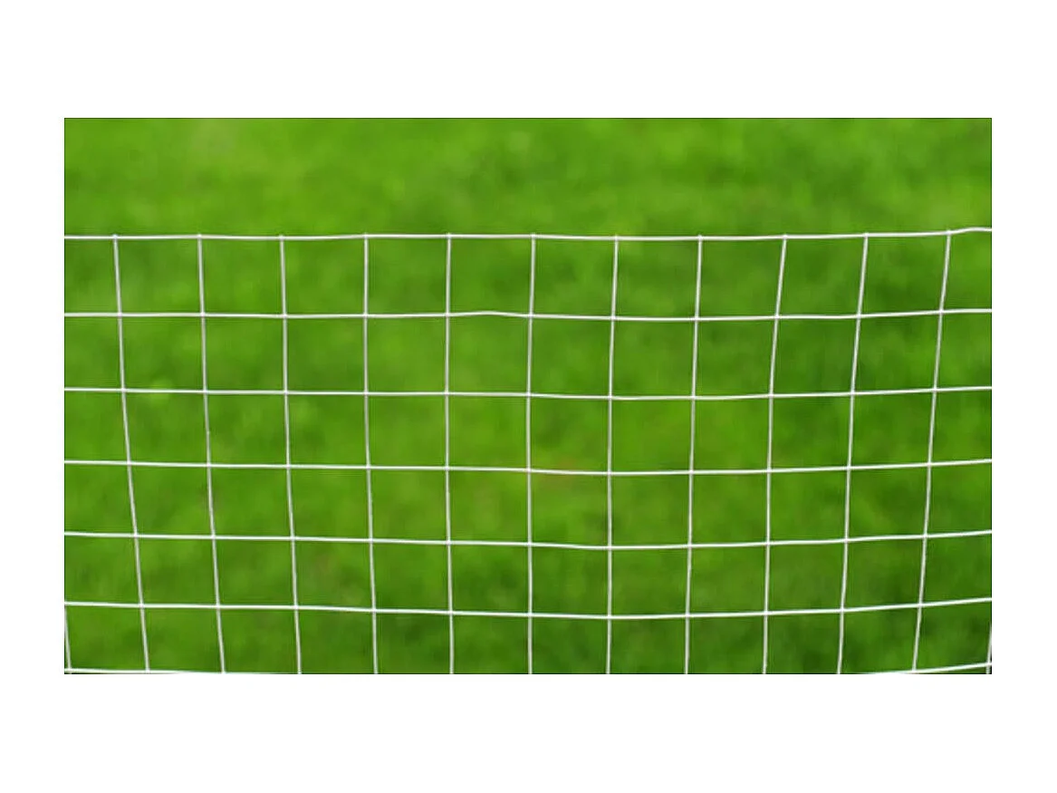 Clôture en treillis Acier galvanisé Carré 1x25 m Argenté FR716765