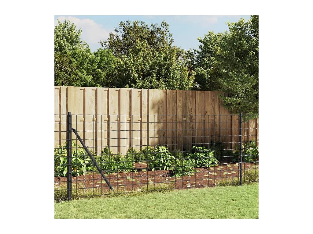 Clôture en treillis métallique anthracite 1x25m acier galvanisé FR864591