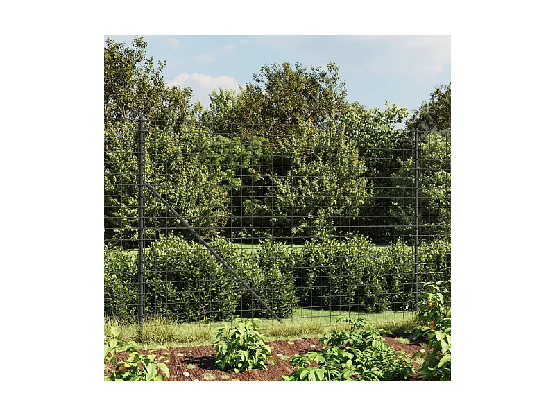 Clôture en treillis métallique et ancrage anthracite 2x25 m FR852007