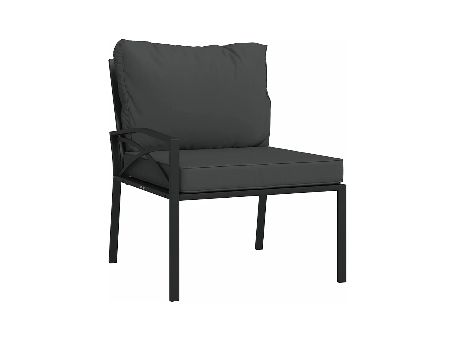 Lot de 2 Chaises de jardin avec coussins gris 62x75x79 cm acier FR39823