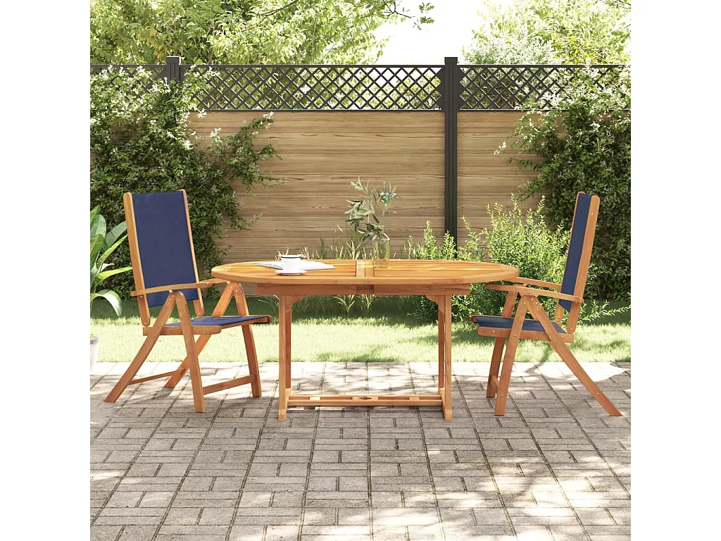 Lot de 2 Chaises pliables de jardin bois d'acacia et textilène FR376753