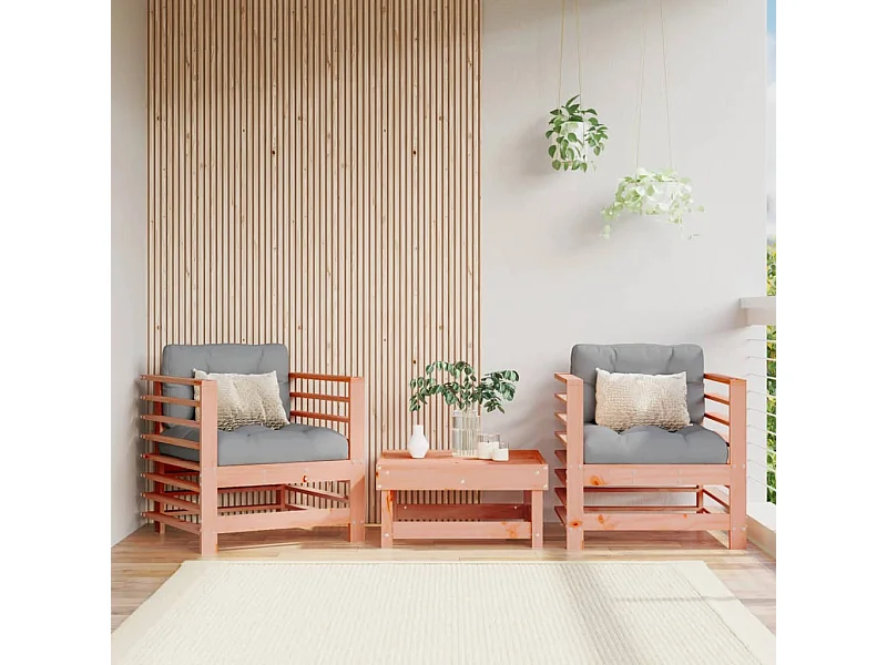 Lot de 2 Chaises de jardin cm bois massif douglas FR13578