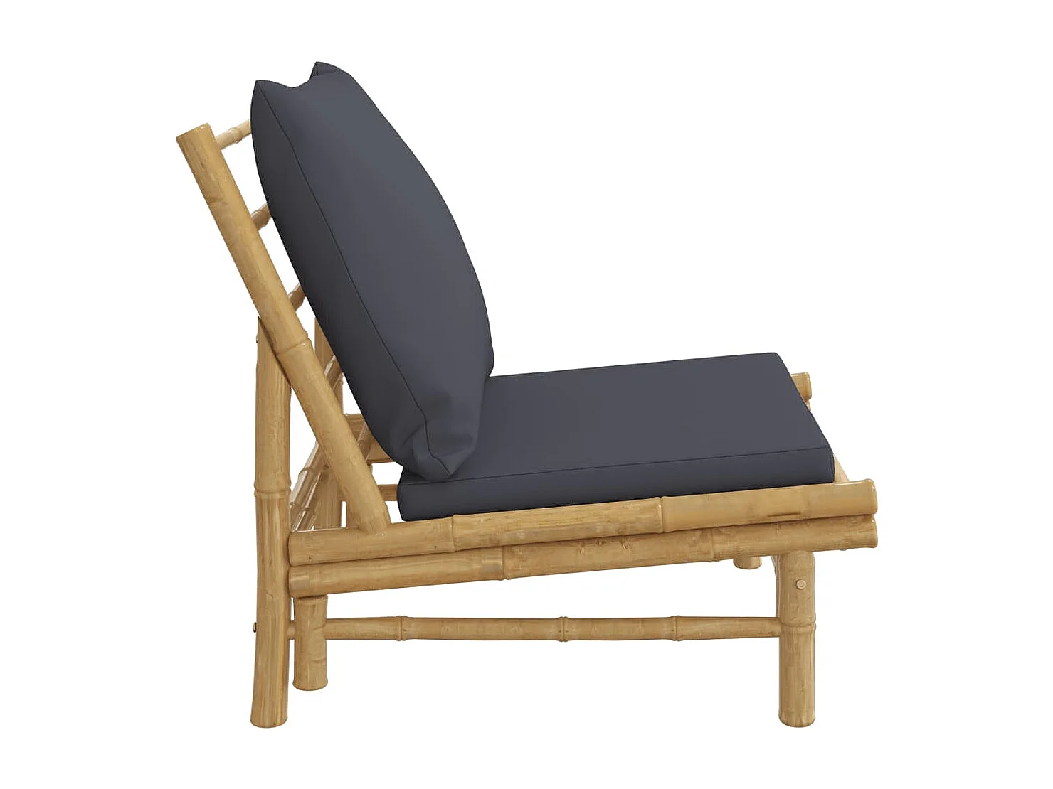 Lot de 2 Chaises de jardin avec coussins gris foncé bambou FR86428