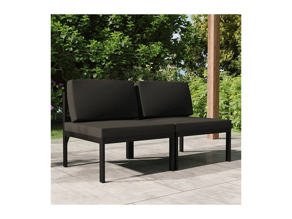 Canapé de jardin 2 places avec coussins Aluminium Anthracite FR71888