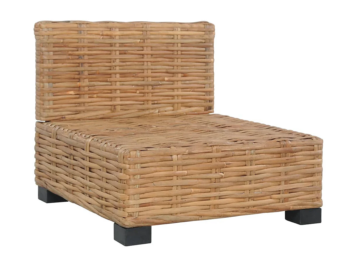 Canapé sans accoudoirs avec coussins Rotin naturel FR27213