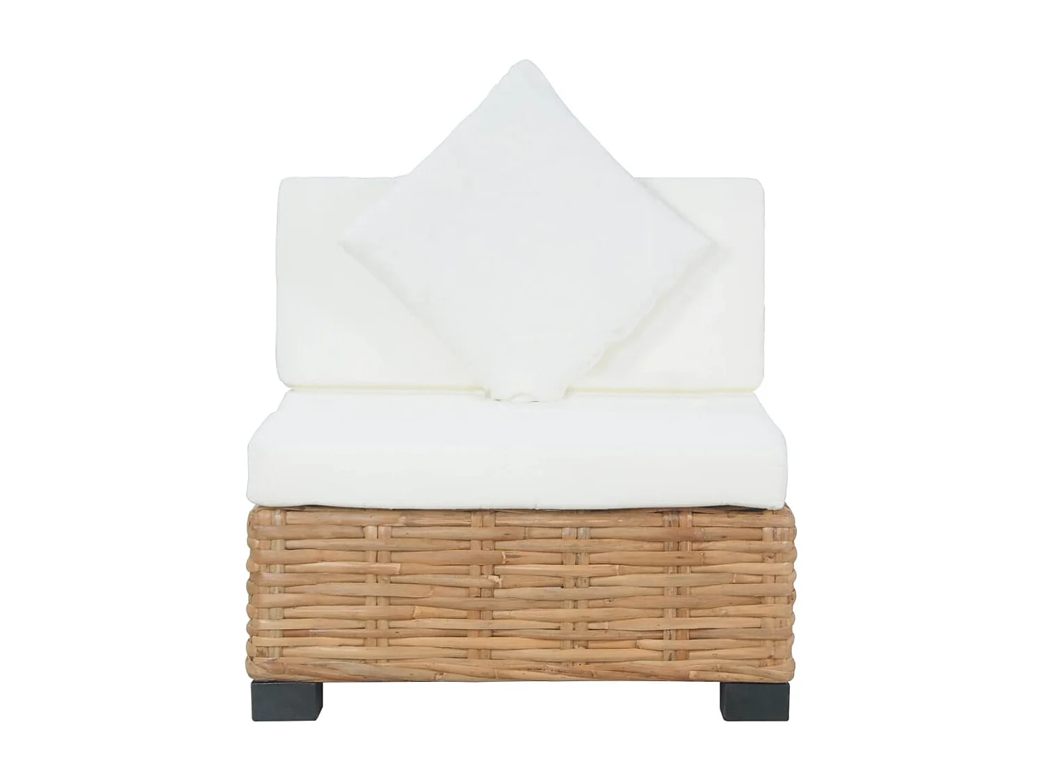 Canapé sans accoudoirs avec coussins Rotin naturel FR27213