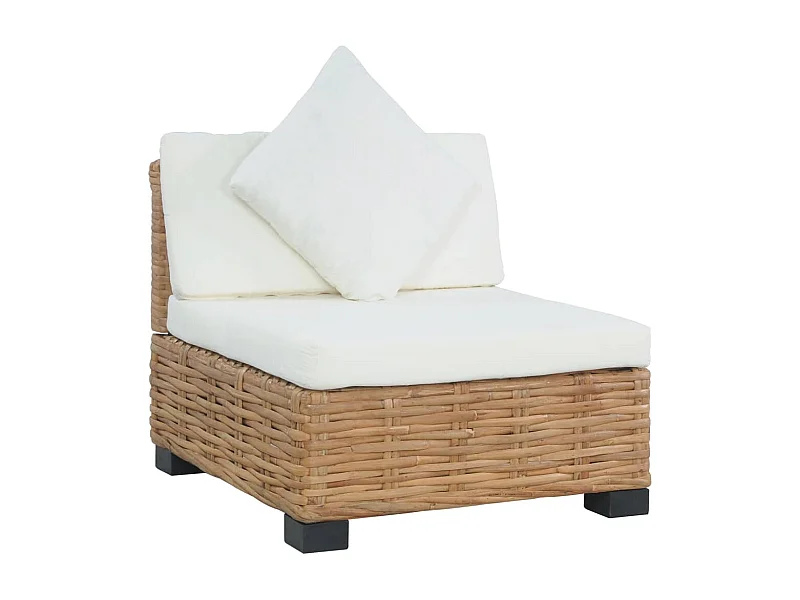 Canapé sans accoudoirs avec coussins Rotin naturel FR27213